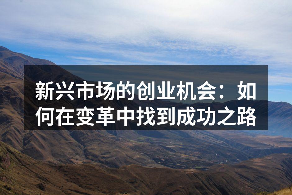 新兴市场的创业机会：如何在变革中找到成功之路