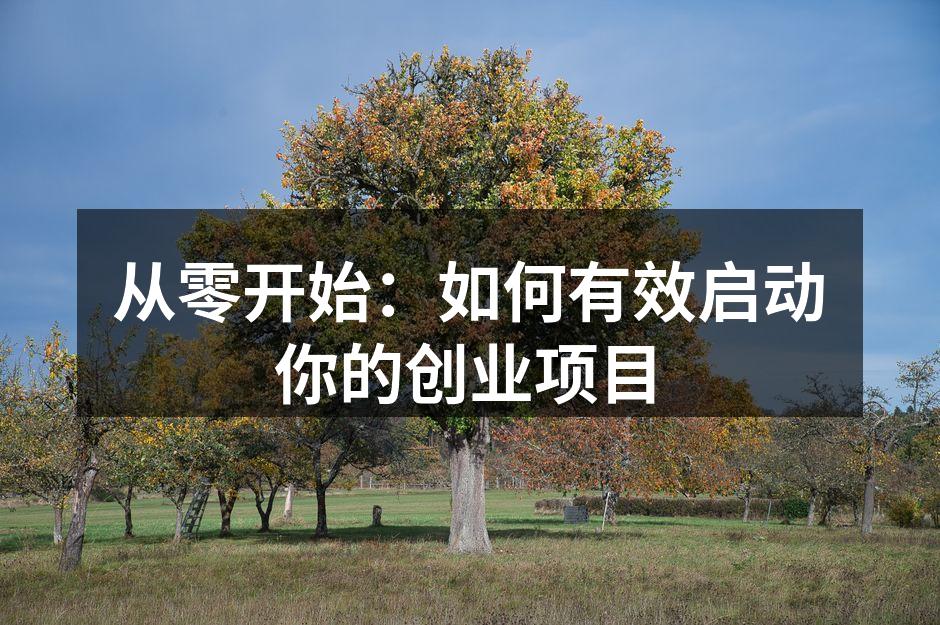 从零开始：如何有效启动你的创业项目