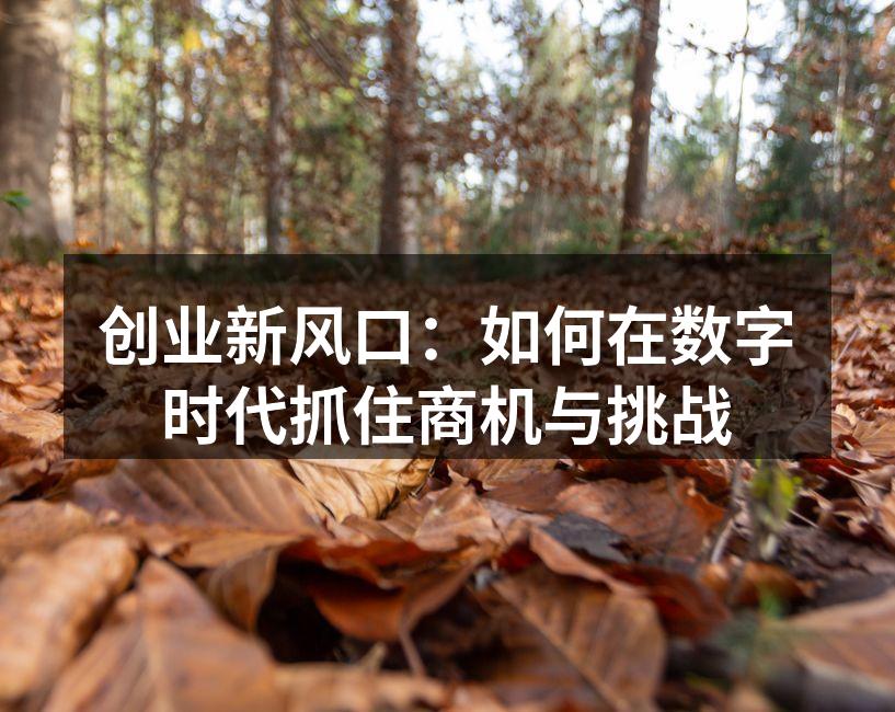 创业新风口：如何在数字时代抓住商机与挑战